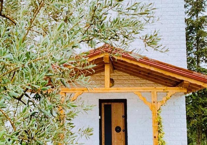 ホテル Iznik Askania