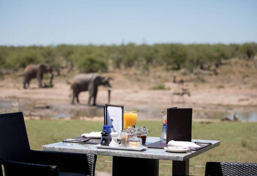 ホテル Jamala Madikwe