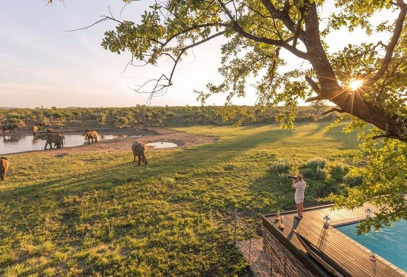 ホテル Jamala Madikwe