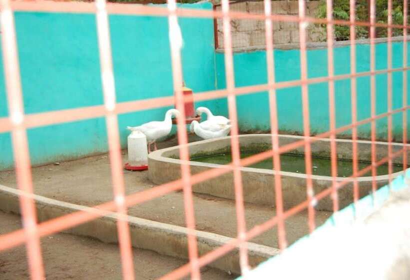 בית מלון כפרי Konkon Wonderland