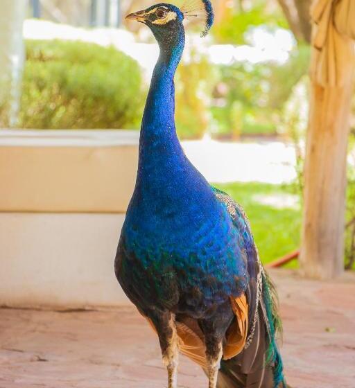 هتل & Spa La Ferme El Dar