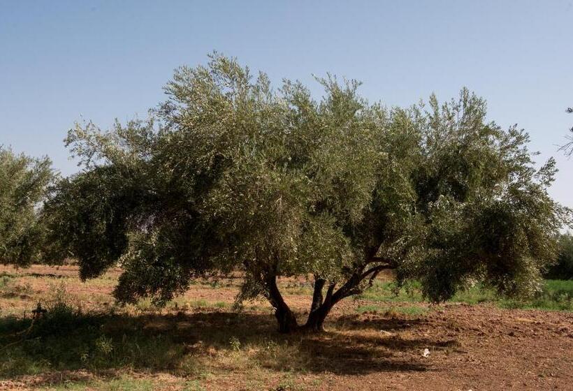 هتل & Spa La Ferme El Dar