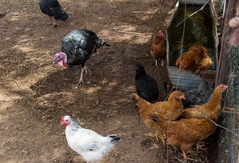 هتل & Spa La Ferme El Dar