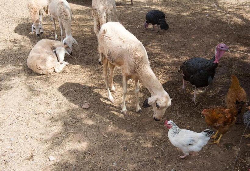 هتل & Spa La Ferme El Dar