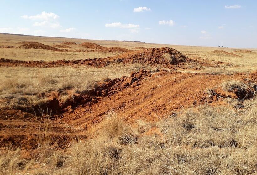 בית מלון כפרי Lekoa Lodge