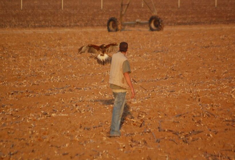 בית מלון כפרי Lekoa Lodge