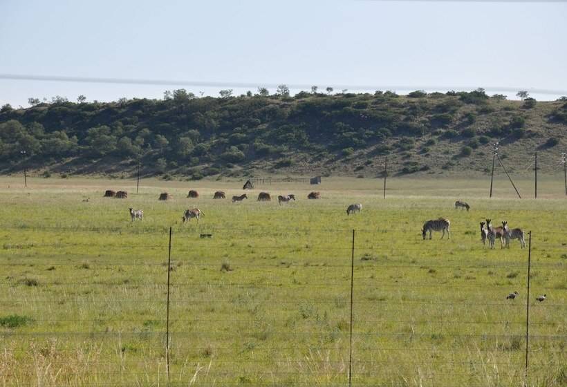 בית מלון כפרי Lekoa Lodge