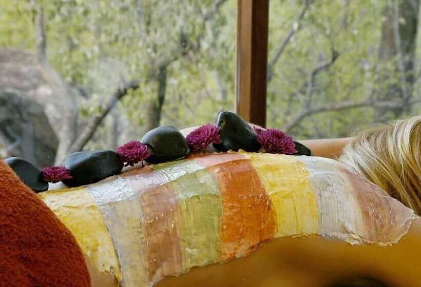 ホテル Madikwe Hills