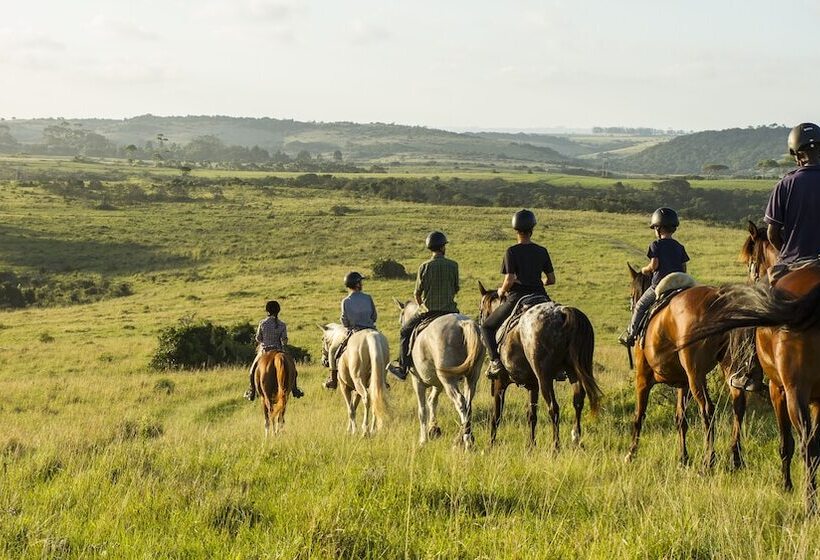בית מלון כפרי Miarestate