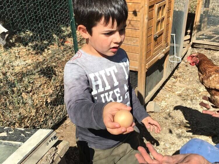 בית מלון כפרי Miramonti Seulo Turismo Rurale