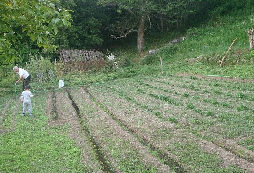 בית מלון כפרי Miramonti Seulo Turismo Rurale