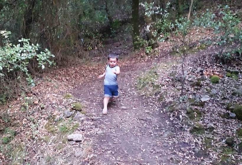 בית מלון כפרי Miramonti Seulo Turismo Rurale