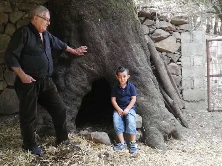 בית מלון כפרי Miramonti Seulo Turismo Rurale