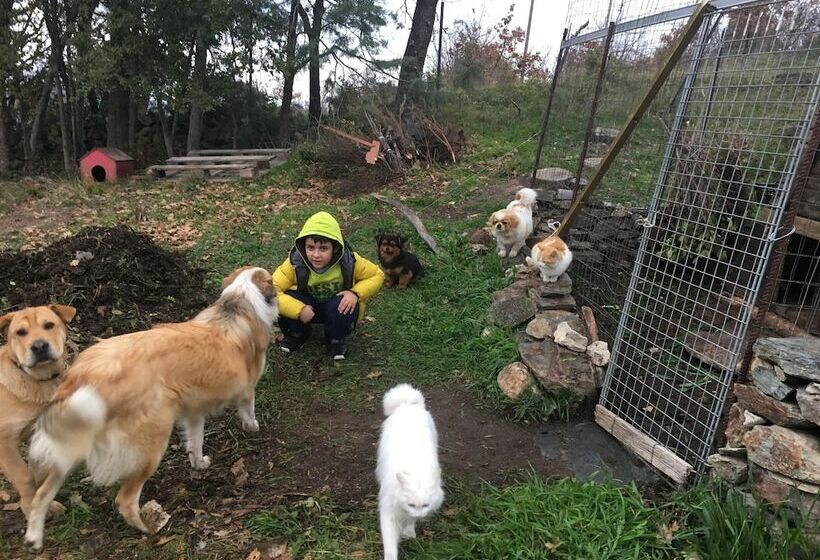 בית מלון כפרי Miramonti Seulo Turismo Rurale