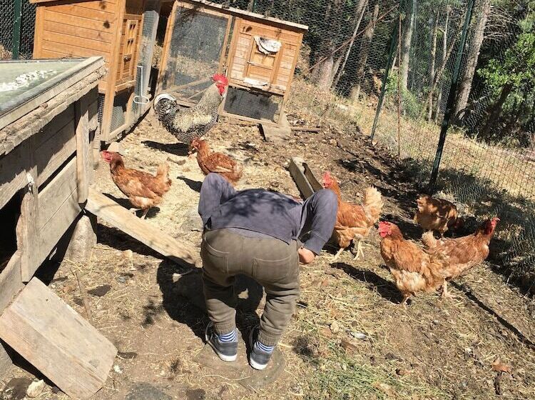 בית מלון כפרי Miramonti Seulo Turismo Rurale