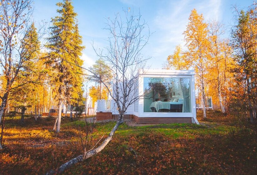 Отель Northern Lights Ranch