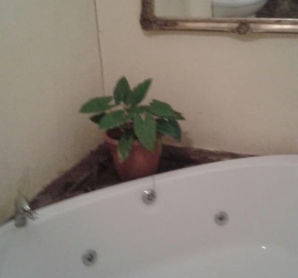 호텔 Rosenhof Country Lodge