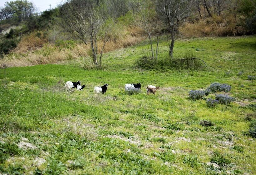 Сельский отель Al Regio Tratturo