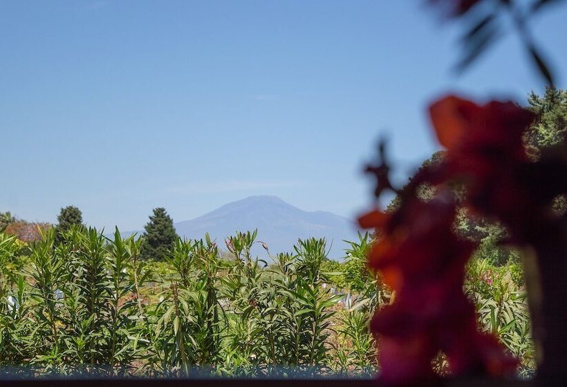 田舎風ホテル Tenuta San Calogero