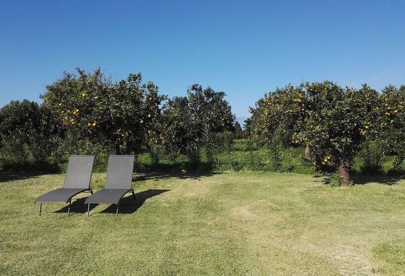 田舎風ホテル Tenuta San Calogero