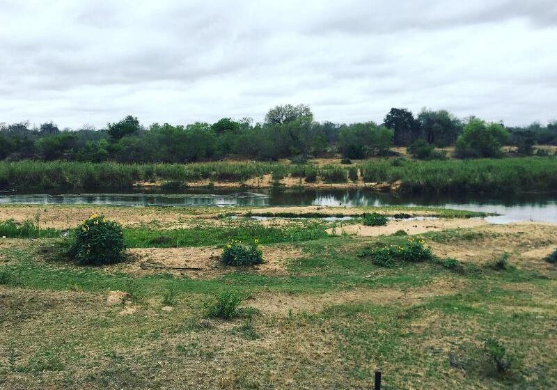 בית מלון כפרי Sabie River Bush Lodge