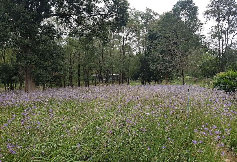 فندق Saksupha Resort