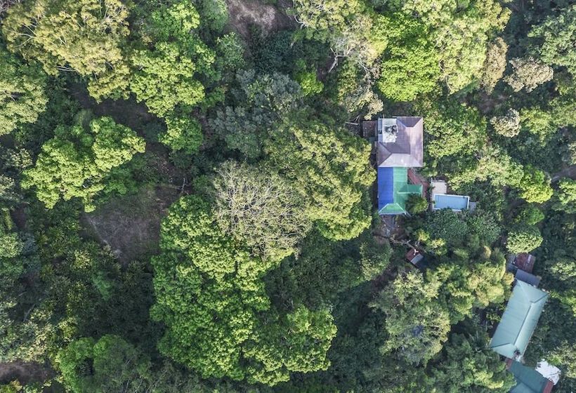 酒店 Spice Jungle Resort