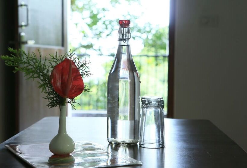 酒店 Spice Jungle Resort