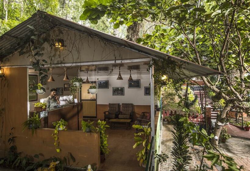 酒店 Spice Jungle Resort