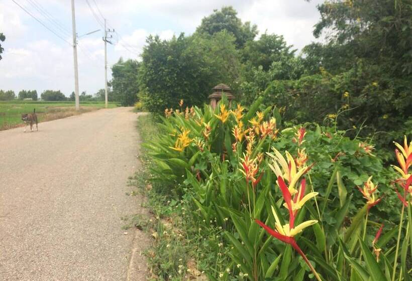 בית מלון כפרי Tai Baan Resort