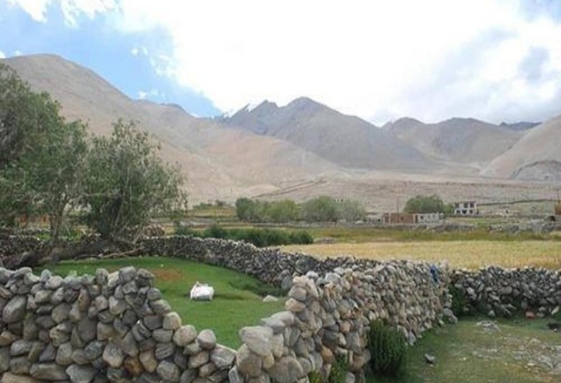 فندق The Buddha Camp