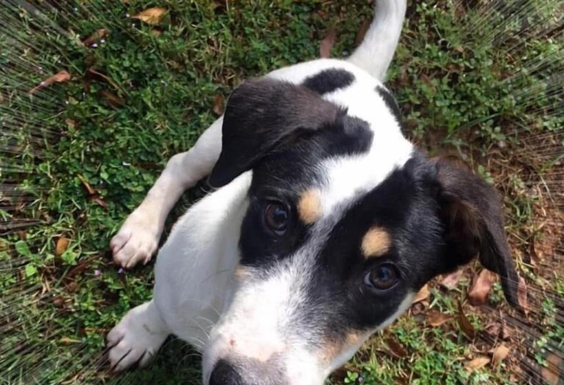 ホテル The Resort Kabinburi