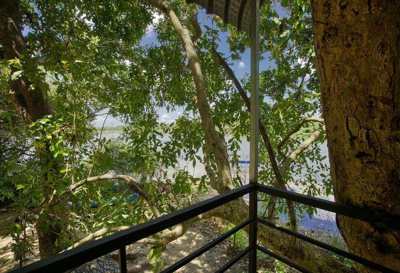 Отель Yuhibuhi Forest Resort