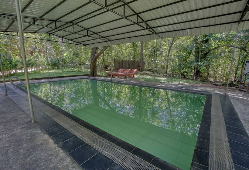 Отель Yuhibuhi Forest Resort