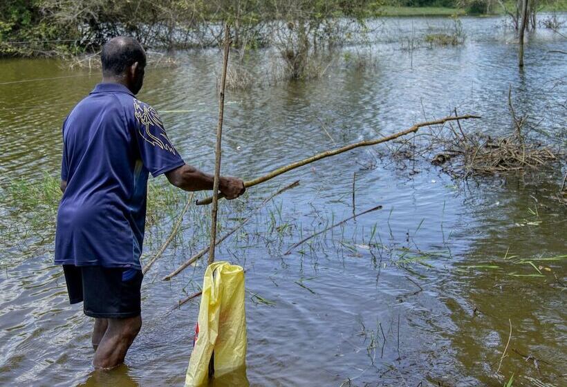 Отель Yuhibuhi Forest Resort