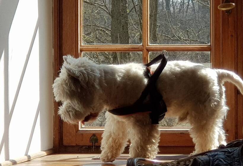 ホテル Zamek Tuczno