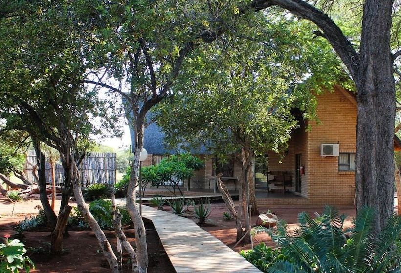 فندق Zingela Nature Reserve   Leadwood Lodge