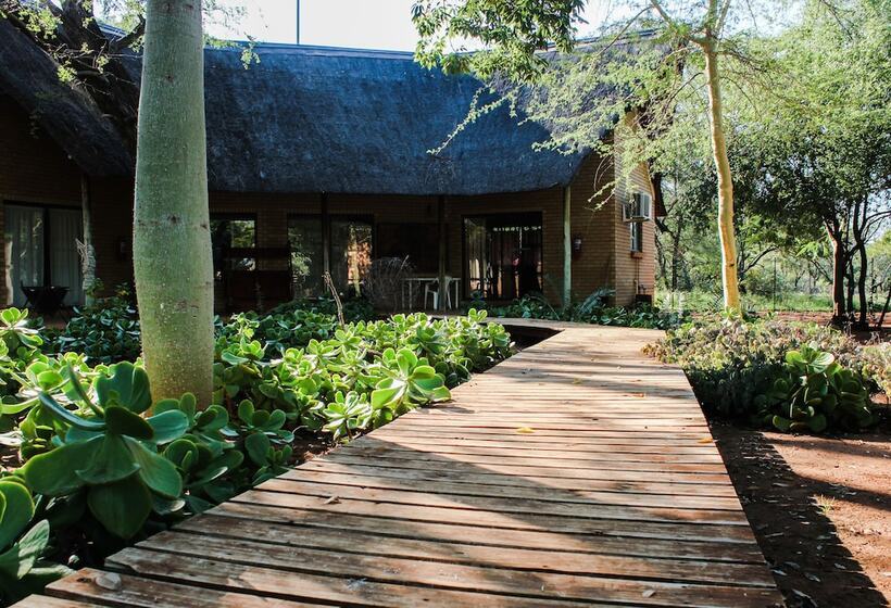 فندق Zingela Nature Reserve   Leadwood Lodge