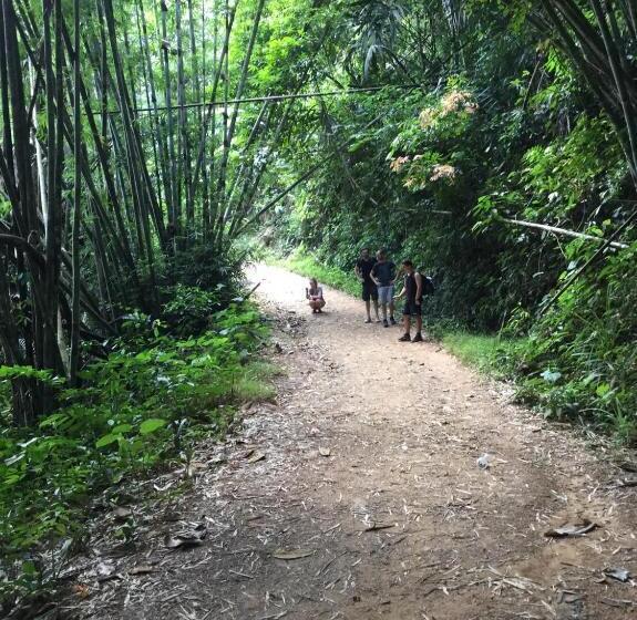 Khaosok Secret Hostel