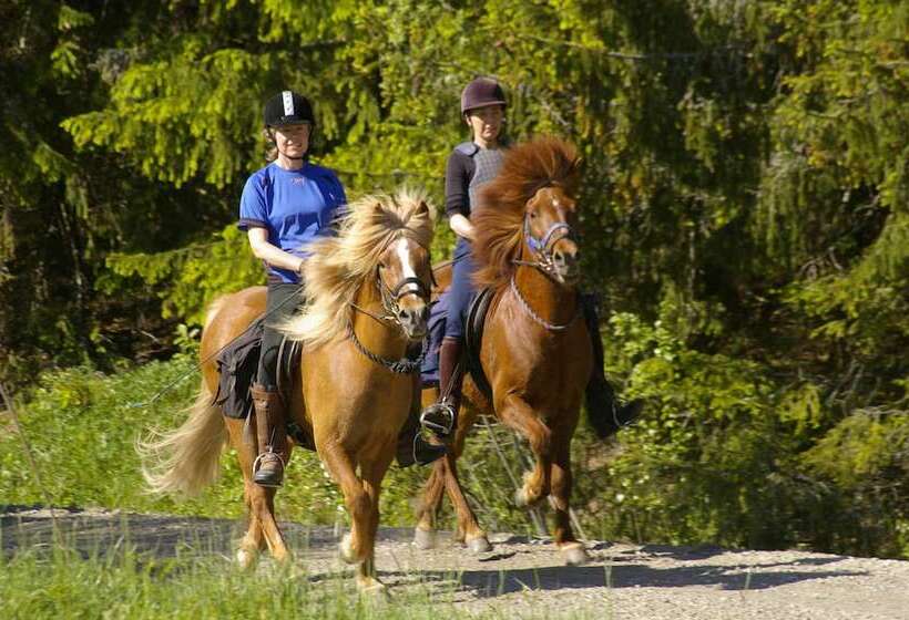 Kolarbyn Eco Lodge   Hostel