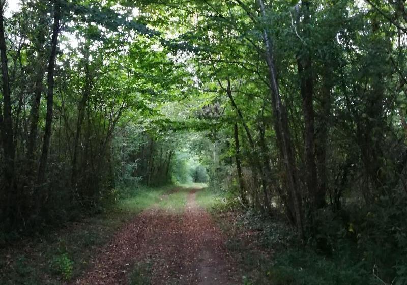 膳宿费 A Travers Chants B&b