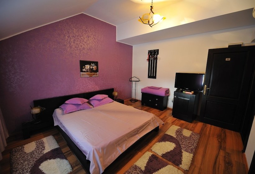 Пансион Carul Din Stele