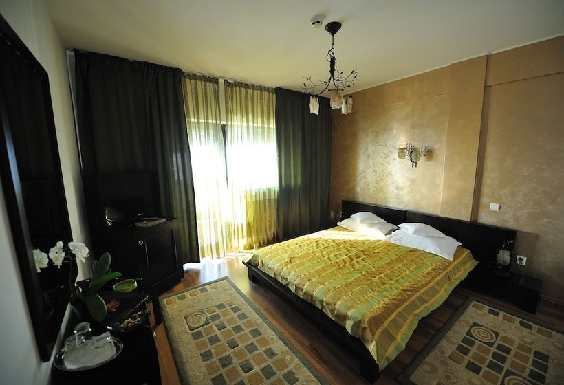 Пансион Carul Din Stele