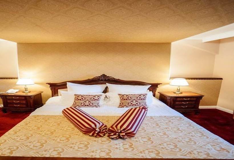 Пансион Carul Din Stele