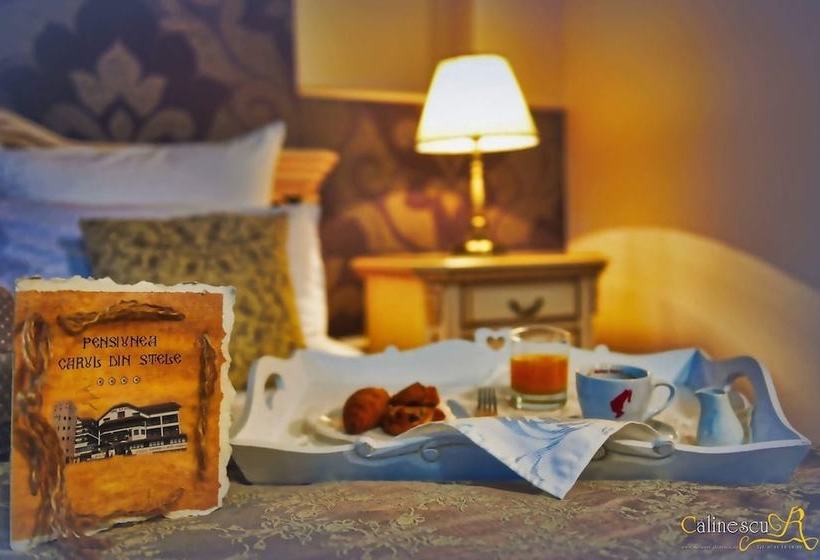 Пансион Carul Din Stele
