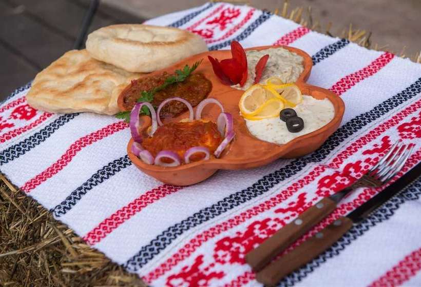 Пансион Carul Din Stele