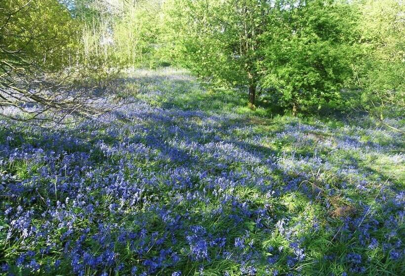 펜션 Clerk Laithe Lodge