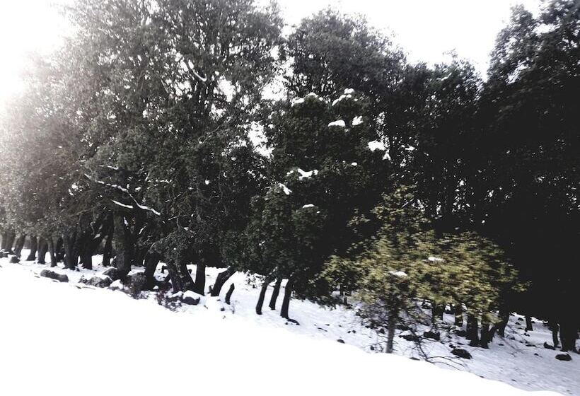 پانسیون Gite Du Barrage