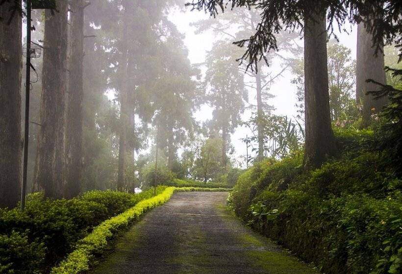 ペンション Goomtee Tea Garden Retreat