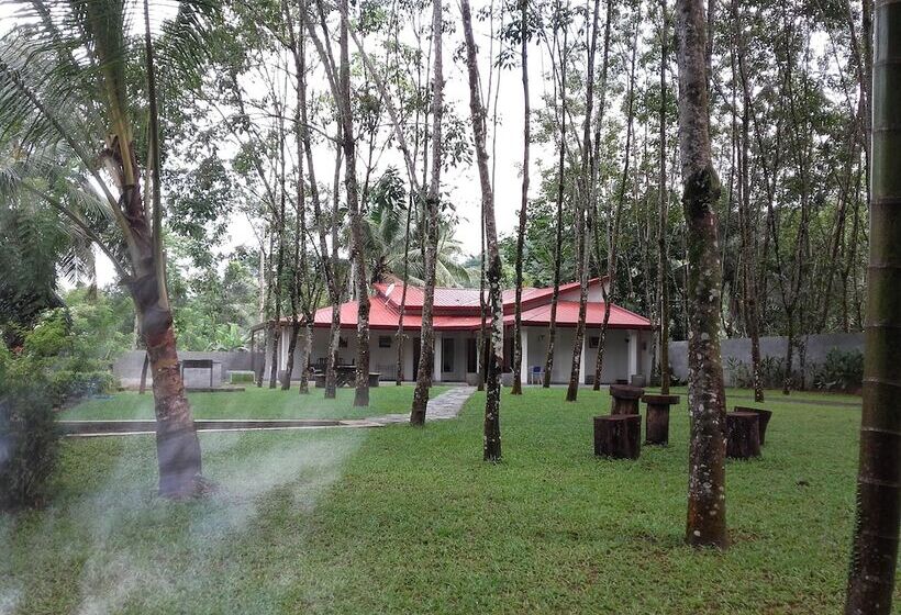 פנסיון Graten Tea Garden Holiday Bungalow